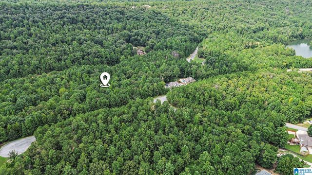 0 WHITE TAIL RUN, Chelsea, AL 35043