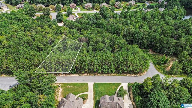 0 WHITE TAIL RUN, Chelsea, AL 35043