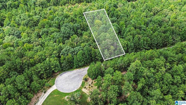 0 WHITE TAIL RUN, Chelsea, AL 35043