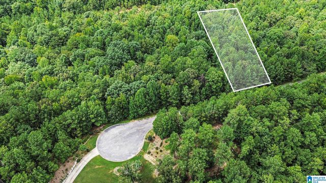 0 WHITE TAIL RUN, Chelsea, AL 35043