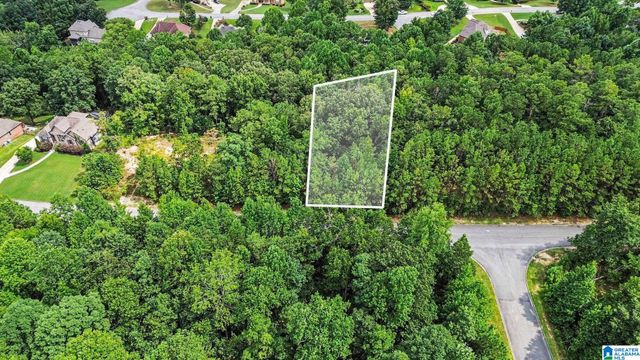 0 WHITE TAIL RUN, Chelsea, AL 35043