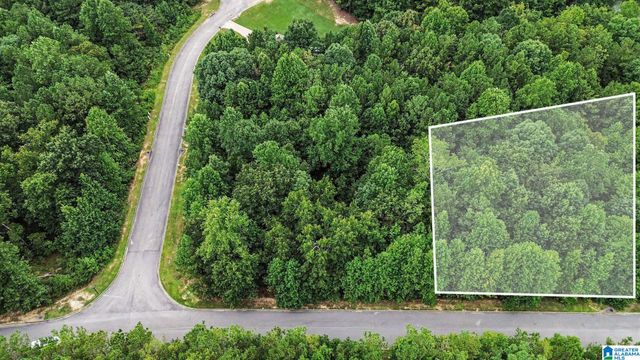 0 WHITE TAIL RUN, Chelsea, AL 35043