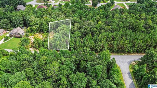 0 WHITE TAIL RUN, Chelsea, AL 35043