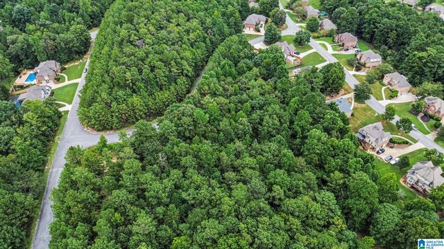 0 WHITE TAIL RUN, Chelsea, AL 35043