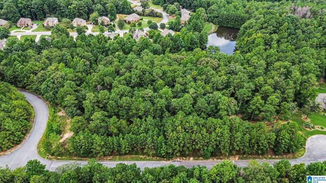 0 WHITE TAIL RUN, Chelsea, AL 35043