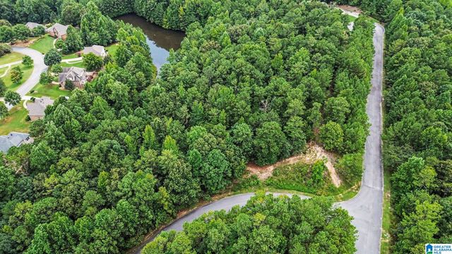 0 WHITE TAIL RUN, Chelsea, AL 35043