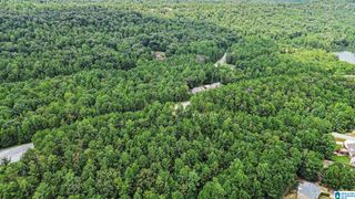 0 WHITE TAIL RUN, Chelsea, AL 35043