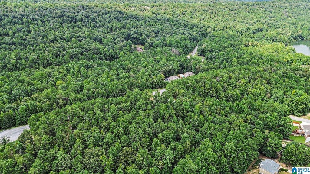 0 WHITE TAIL RUN, Chelsea, AL 35043