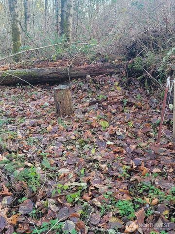 35750 Military Road S, Auburn, WA 98001