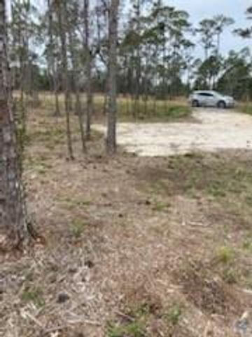 15375 Dauphin Island Parkway, Coden, AL 36523