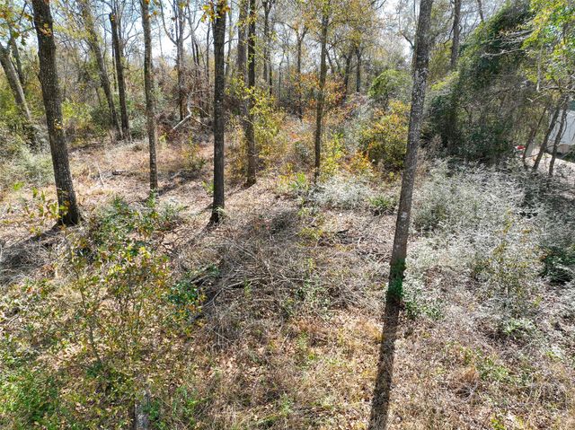 0 Carol Lane, Splendora, TX 77372