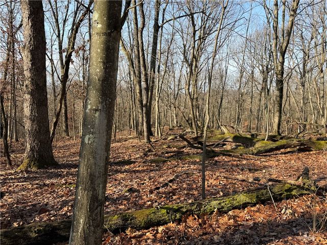 1172 Middle Road Ext, West Deer, PA 15044