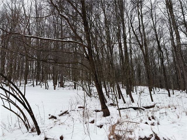 1172 Middle Road Ext, West Deer, PA 15044