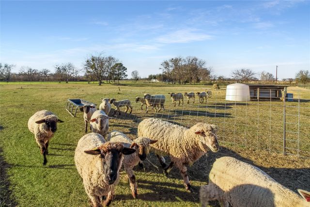 10166 Fm 3094, Scurry, TX 75158