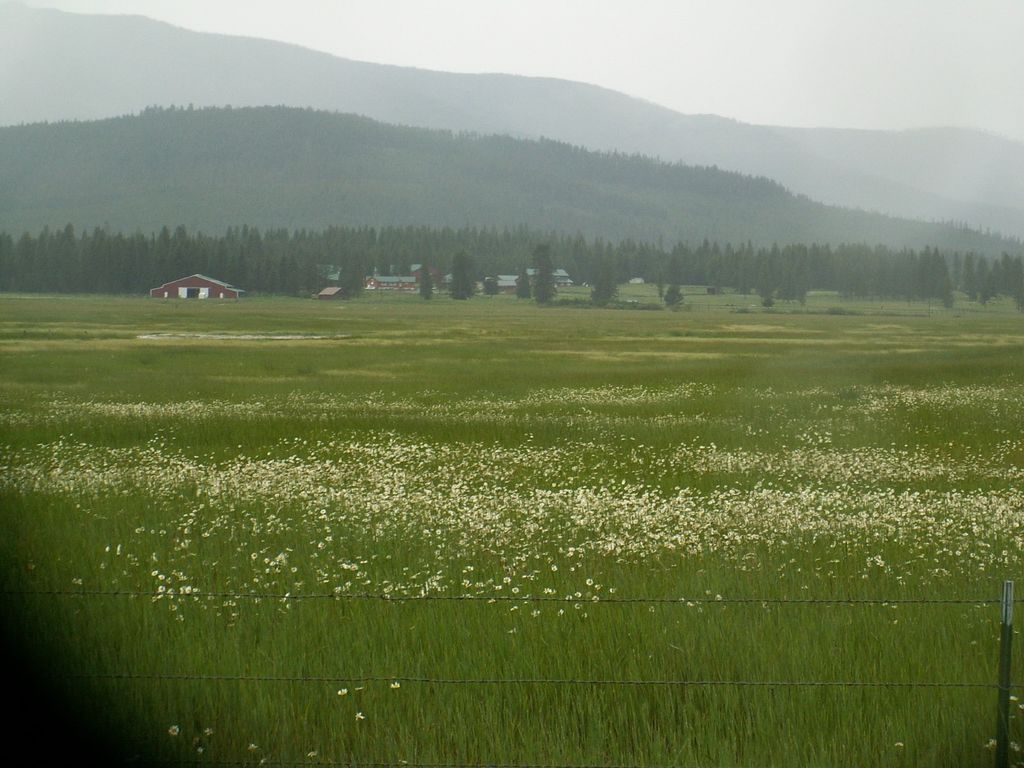 9701 Provence Lane, Marion, MT 59925 photo 10