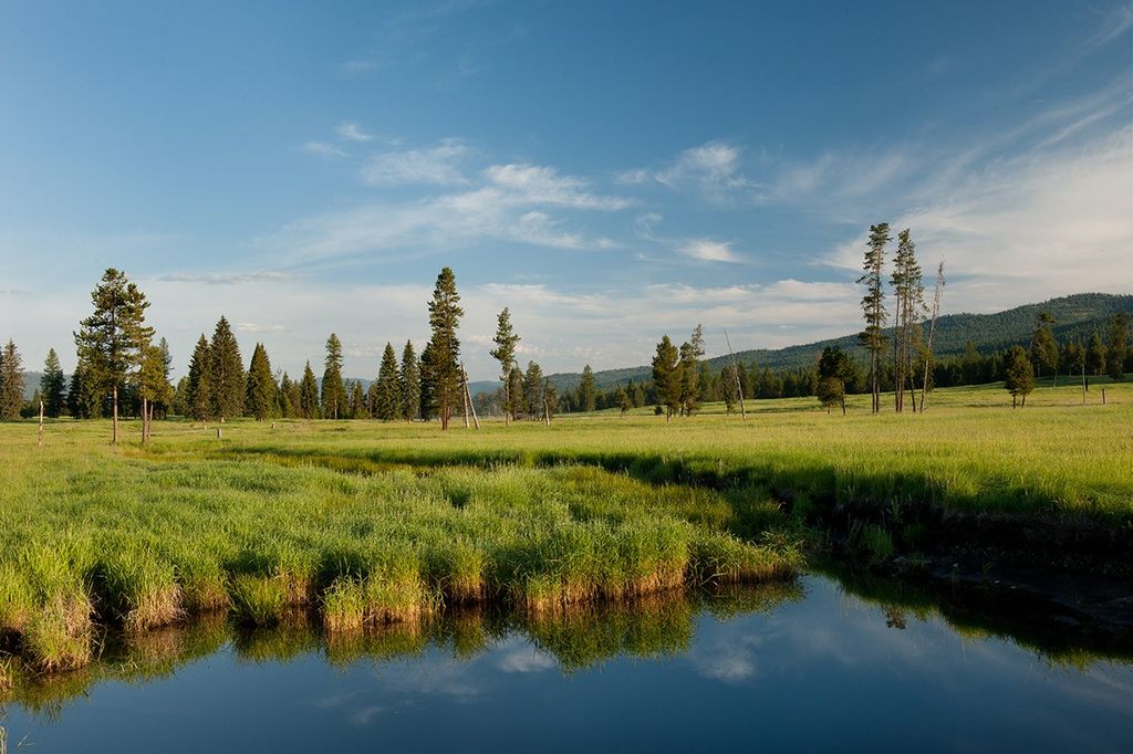 9701 Provence Lane, Marion, MT 59925 photo 3