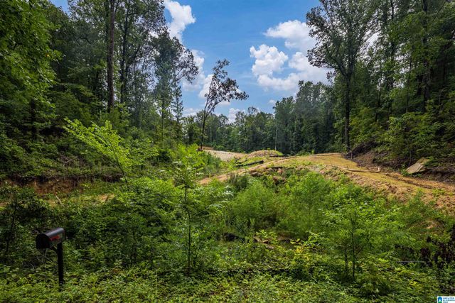 2841 CHEROKEE ROAD, Mountain Brook, AL 35223