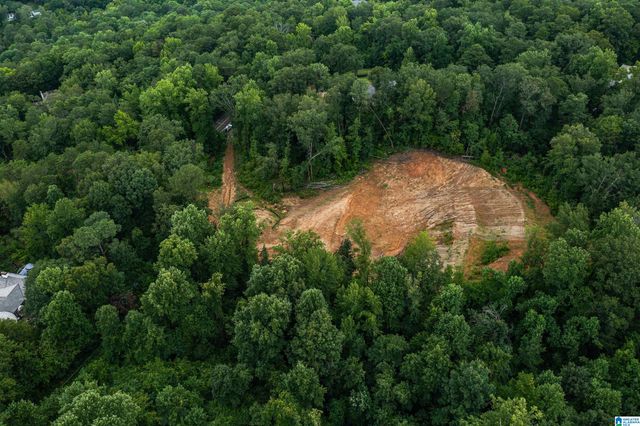 2841 CHEROKEE ROAD, Mountain Brook, AL 35223