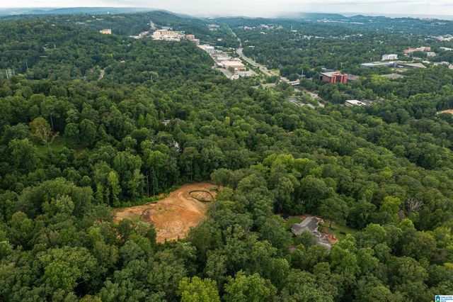 2841 CHEROKEE ROAD, Mountain Brook, AL 35223