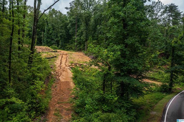 2841 CHEROKEE ROAD, Mountain Brook, AL 35223