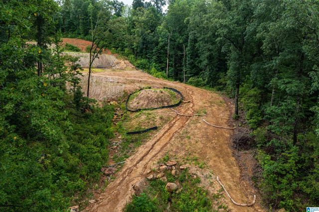 2841 CHEROKEE ROAD, Mountain Brook, AL 35223