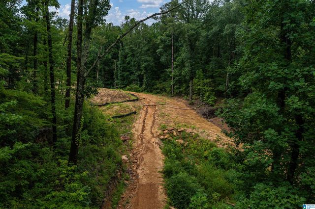 2841 CHEROKEE ROAD, Mountain Brook, AL 35223