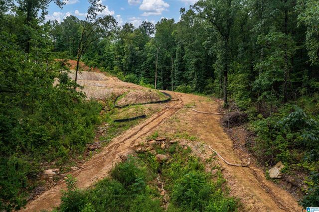 2841 CHEROKEE ROAD, Mountain Brook, AL 35223