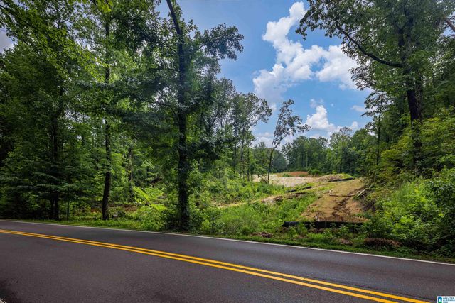 2841 CHEROKEE ROAD, Mountain Brook, AL 35223