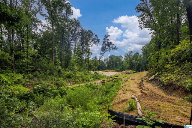 2841 CHEROKEE ROAD, Mountain Brook, AL 35223