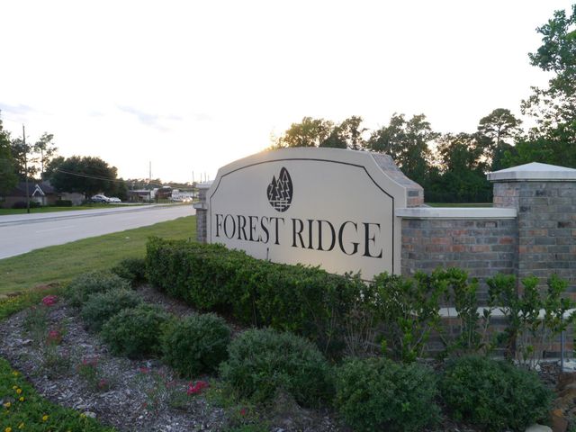 22135 Greengate Drive, Spring, TX 77389