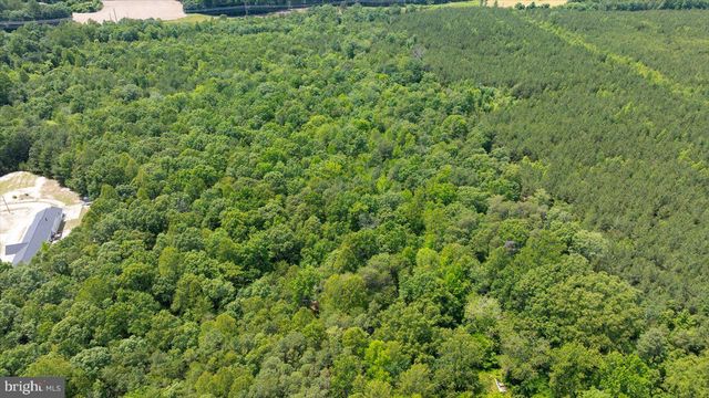 LOT 2E GOLANSVILLE RD, Ruther Glen, VA 22546