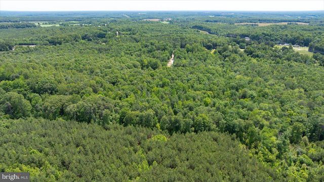 LOT 2E GOLANSVILLE RD, Ruther Glen, VA 22546