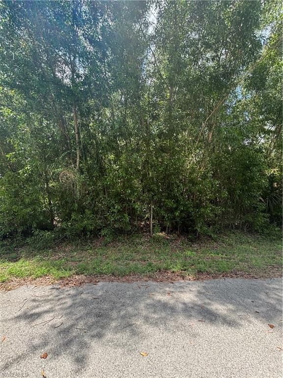 411 Grant AVE, LEHIGH ACRES, FL 33972 — exterior