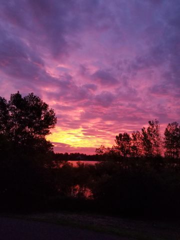 6595 Linwood Drive NE, Albertville, MN 55301