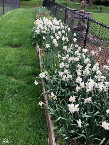 7692 Amber Turn, Plainfield, IN 46168