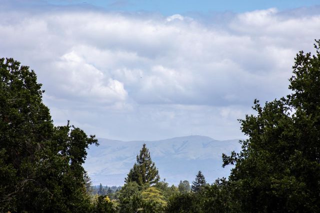 1901 Quail Meadow Road, Los Altos, CA 94024