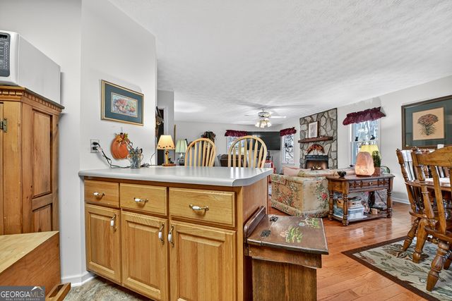 122 D J Lane, Ellijay, GA 30540