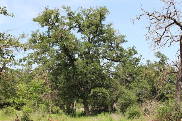 2547 Bob Mathews Street, Bedias, TX 77831