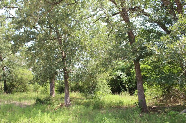 2547 Bob Mathews Street, Bedias, TX 77831