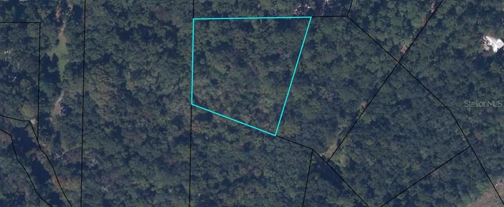 STONEY LANE, Middleburg, FL 32068