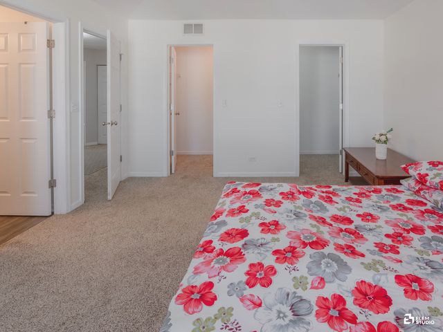 424 Grape Vine Trail, Oswego, IL 60543