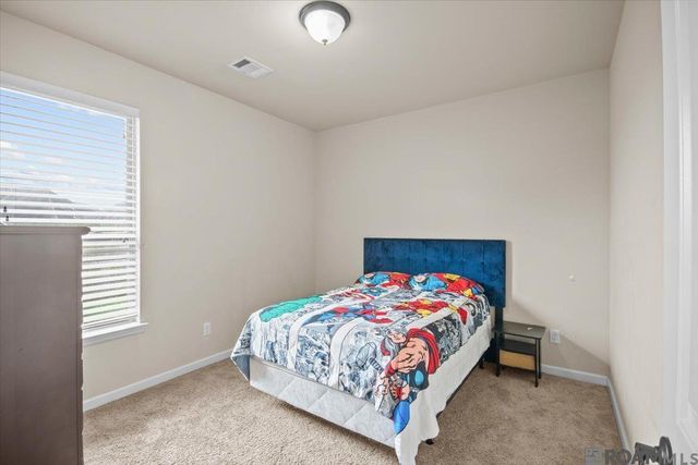 23225 Conifer Dr, Denham Springs, LA 70726