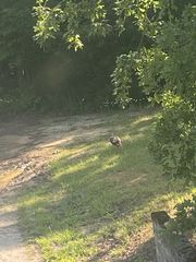 1674 Little Fish Trap Rd, Lawrenceburg, TN 38464