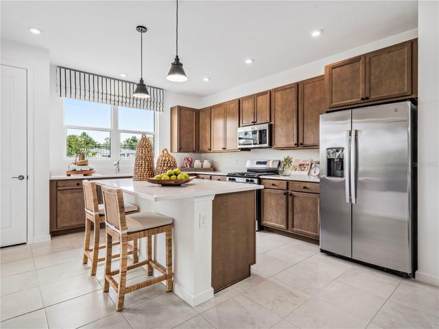 514 HAMMOCK OAKS BOULEVARD, Lady Lake, FL 32159