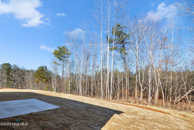 233 Beta Court, Sanford, NC 27330