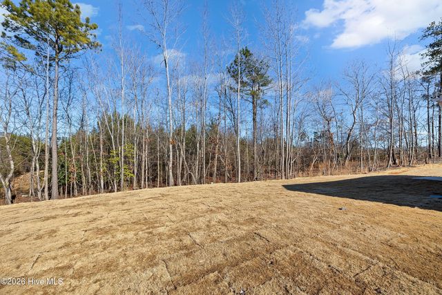 233 Beta Court, Sanford, NC 27330