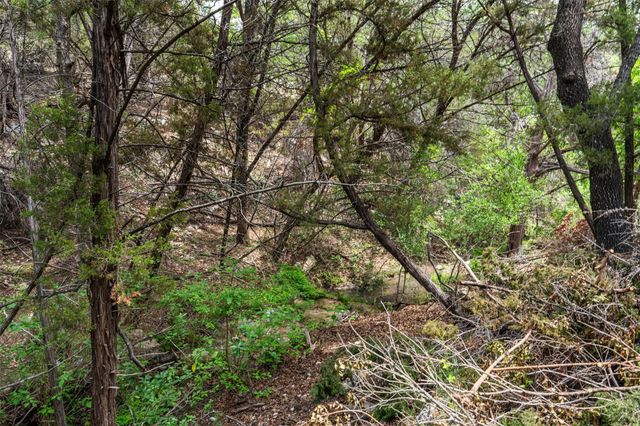 17621 Hunters HOLW, Jonestown, TX 78645