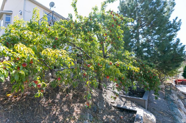 10514 N DORAL DR, Cedar Hills, UT 84062