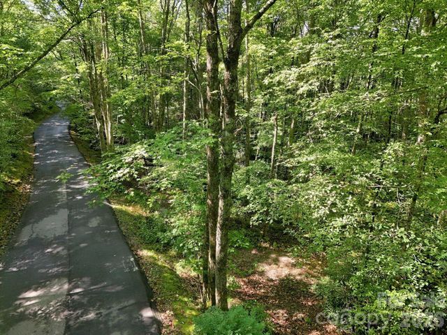 2619 Trays Island Road, Sapphire, NC 28774