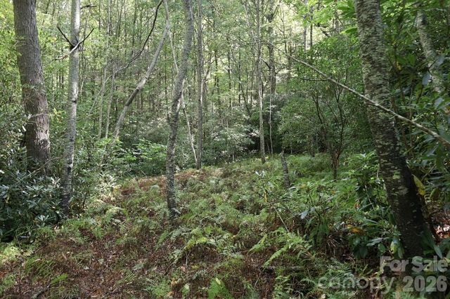 2619 Trays Island Road, Sapphire, NC 28774